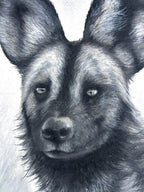 African/Painted Wolf Realism Portrait
