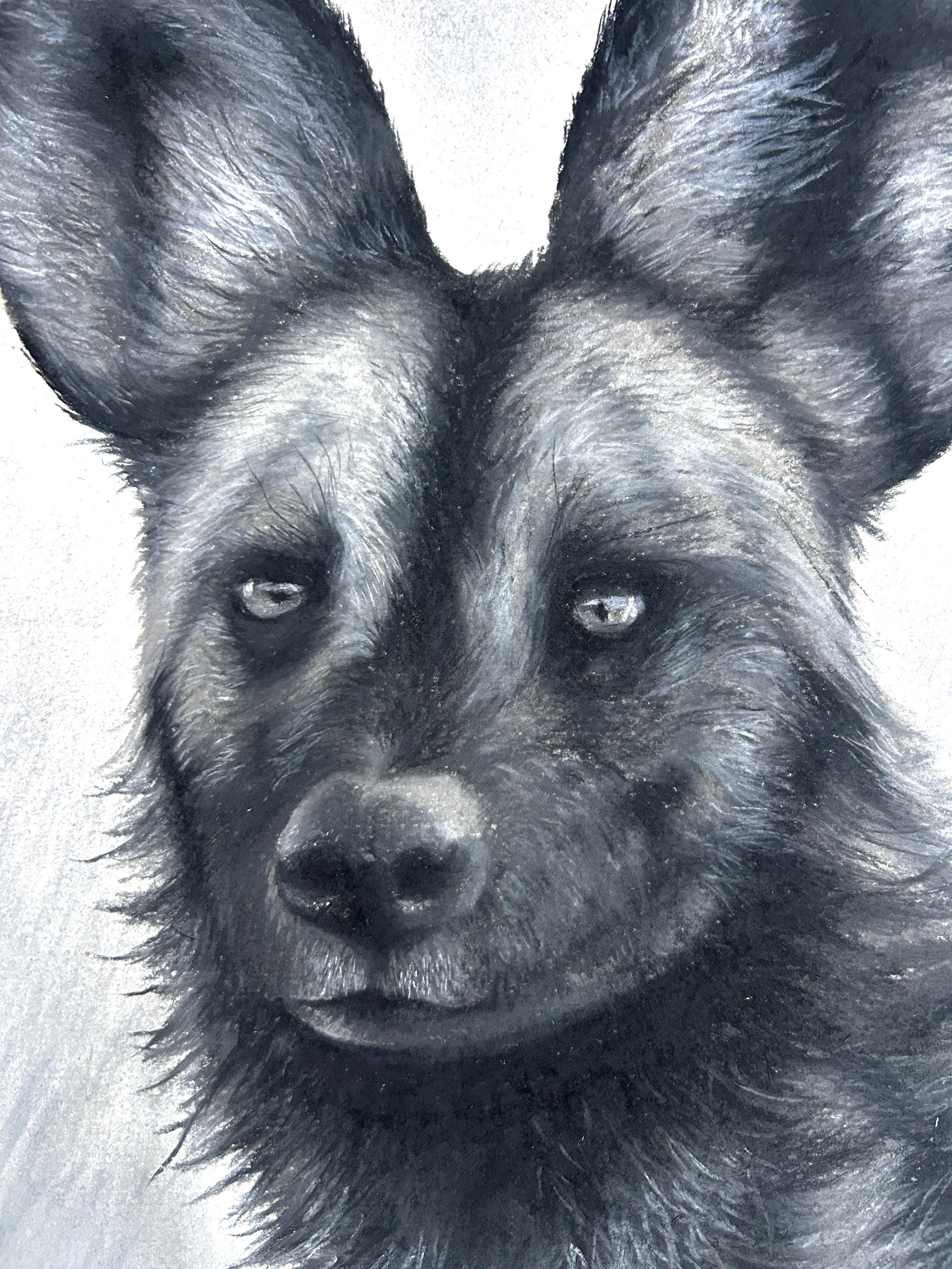 African/Painted Wolf Realism Portrait