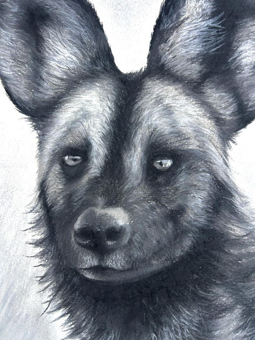 African/Painted Wolf Realism Portrait